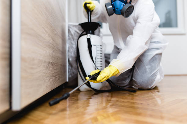 Best Pest Prevention Services  in Oxford, KS