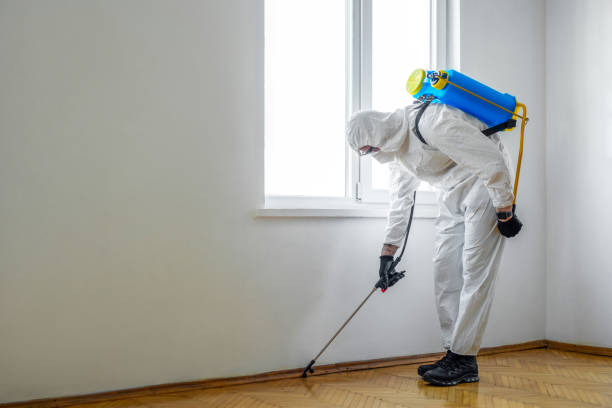 Best Mosquito Control Services  in Oxford, KS