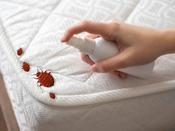  Oxford, KS Pest Control Pros