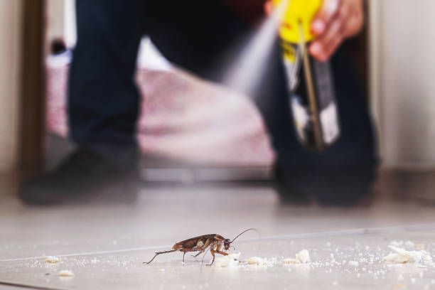 Best Local Pest Control Services  in Oxford, KS