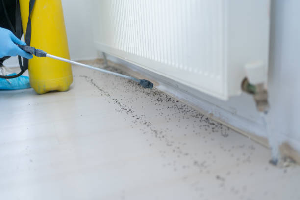 Best Best Pest Control Companies  in Oxford, KS