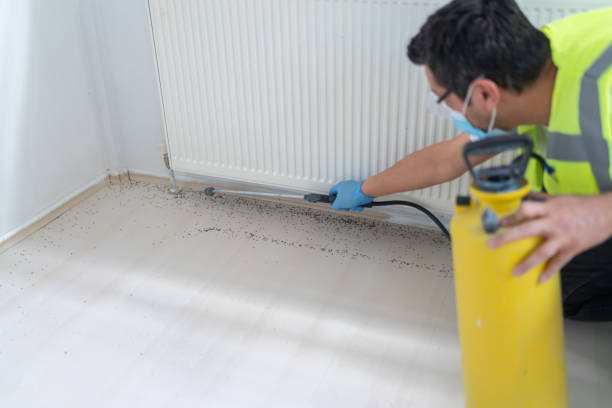 Best Pest Control for Homes  in Oxford, KS