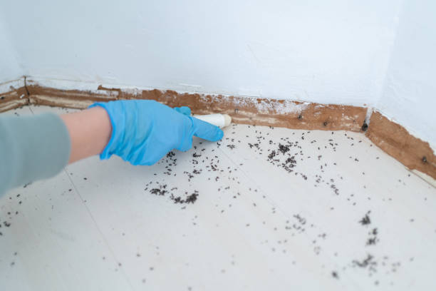 Best Exterminator Services  in Oxford, KS