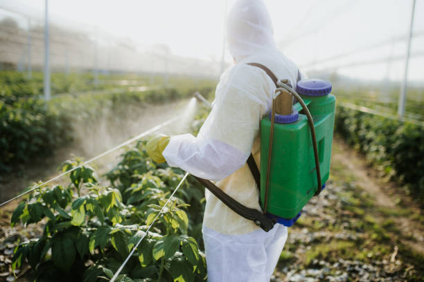 Best Pest Inspection Near Me  in Oxford, KS